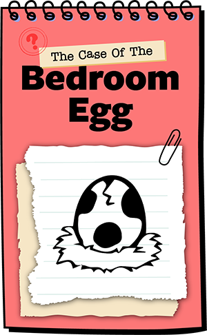The Case of the Bedroom Egg - Free interactive story for Grade 2-3
